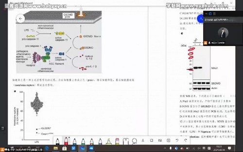 生物竞赛刷题百度网盘（金石未开2021五一生物竞赛集训考前刷题班录播课）